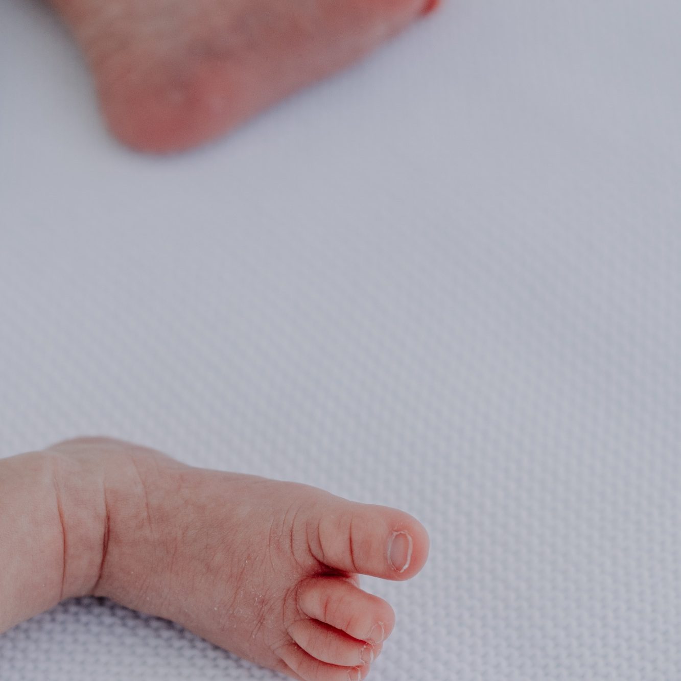 Family walking together during a photo session at Mueller Lake Park
